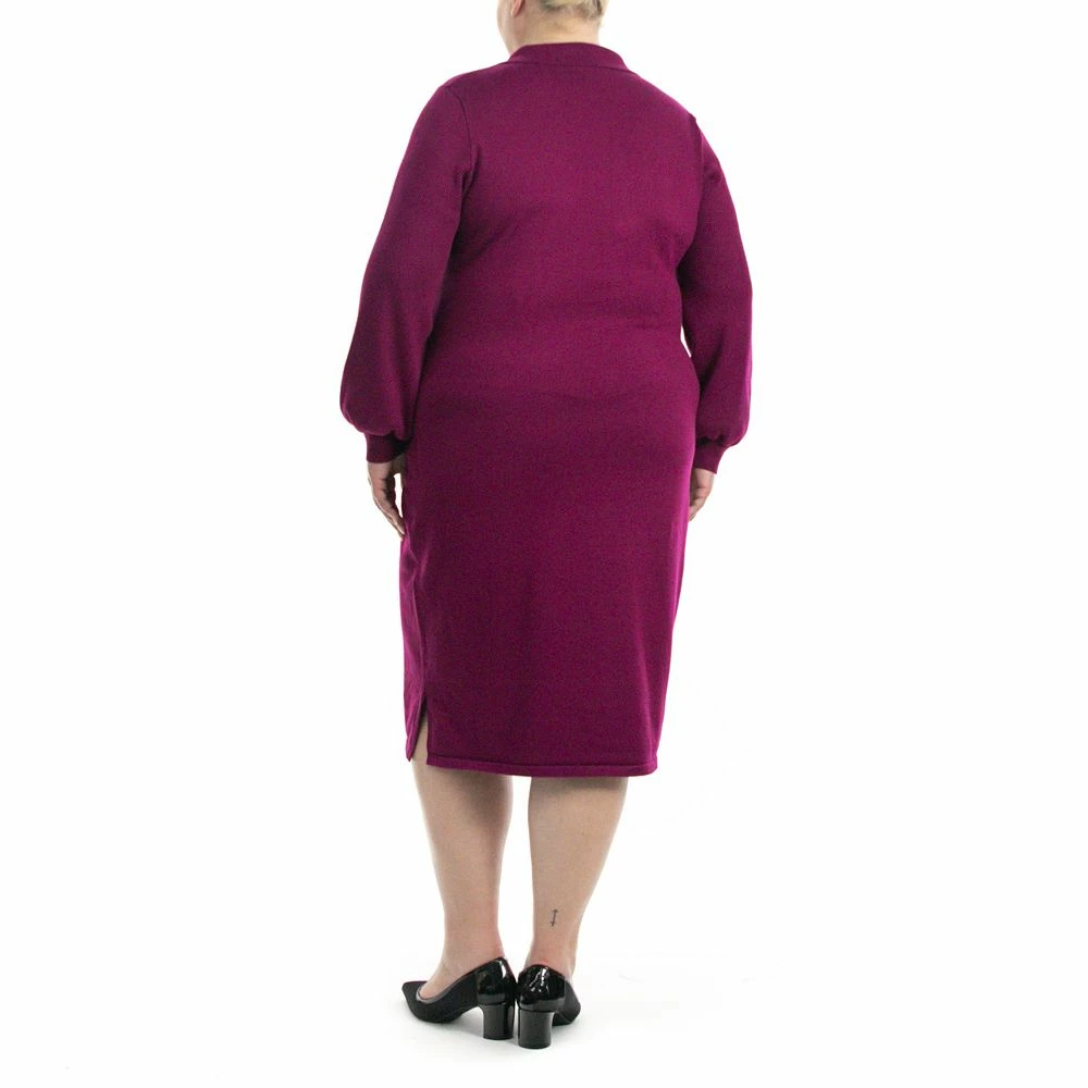 Plus Size Nina Leonard Collar Sweater Dress - Image 4