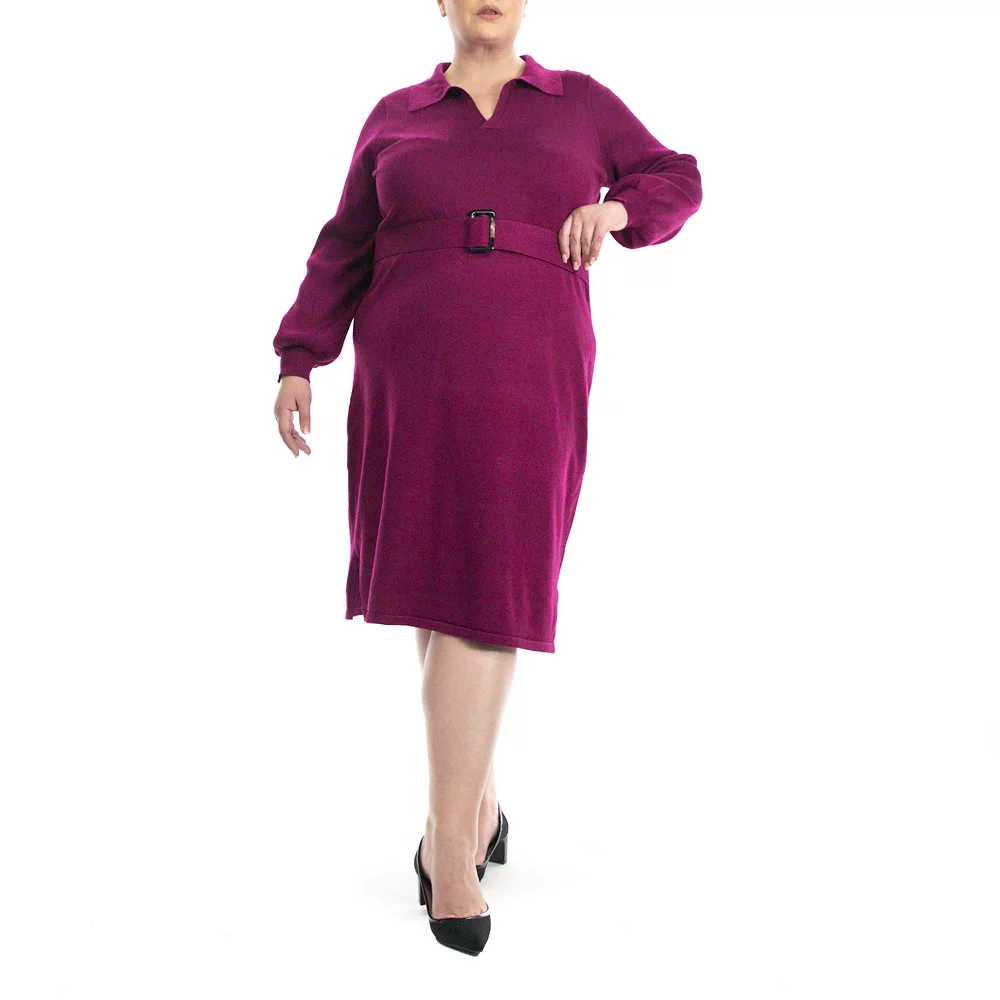 Plus Size Nina Leonard Collar Sweater Dress